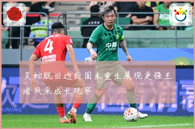 灵蛇脱旧迎新国米重生展现更强王者风采成长观察