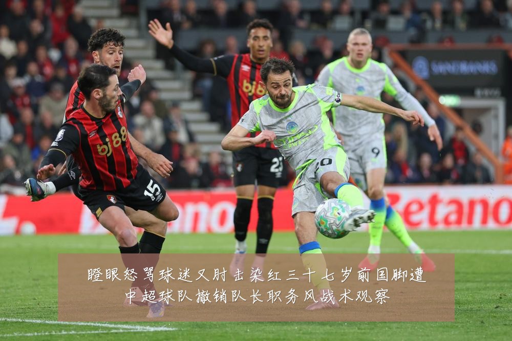 瞪眼怒骂球迷又肘击染红三十七岁前国脚遭中超球队撤销队长职务风战术观察